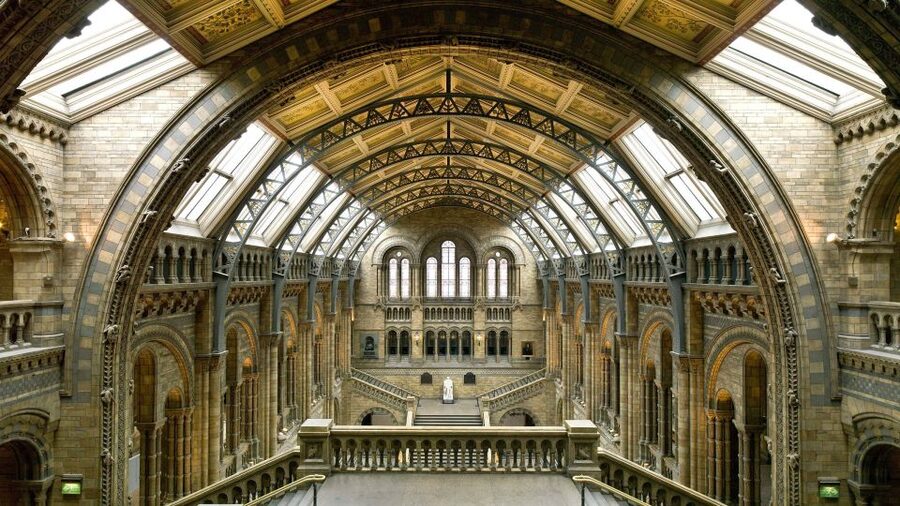 London: Natural History Museum Guided Tour - Why a guide helps in a museum this large