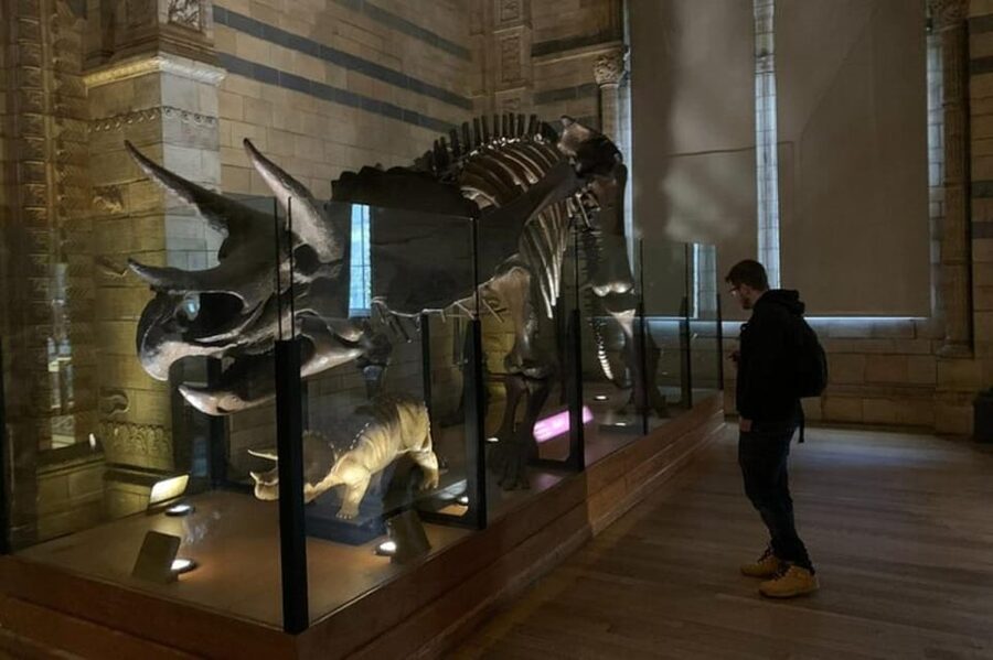 London: Natural History Museum Private Tour & Skip the line - Key points at a glance