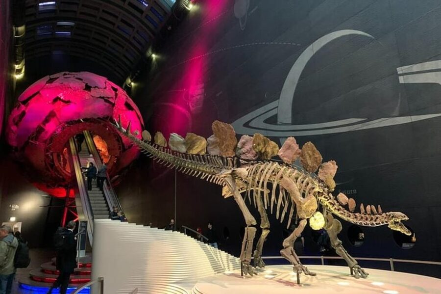 London: Natural History Museum Private Tour & Skip the line - Starting at South Kensington’s museum quarter