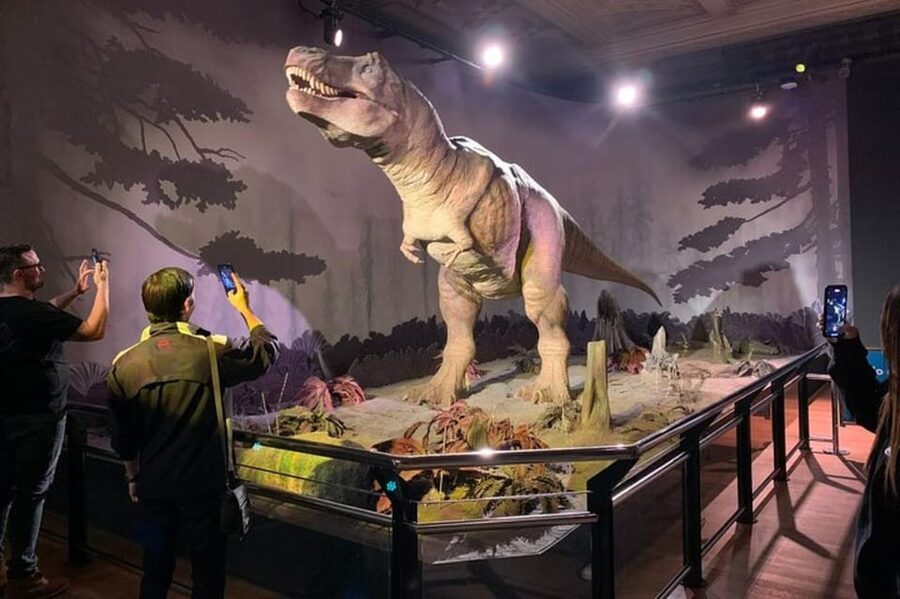 London: Natural History Museum Private Tour & Skip the line - Dinosaurs, fossils, and the museum’s animal stars