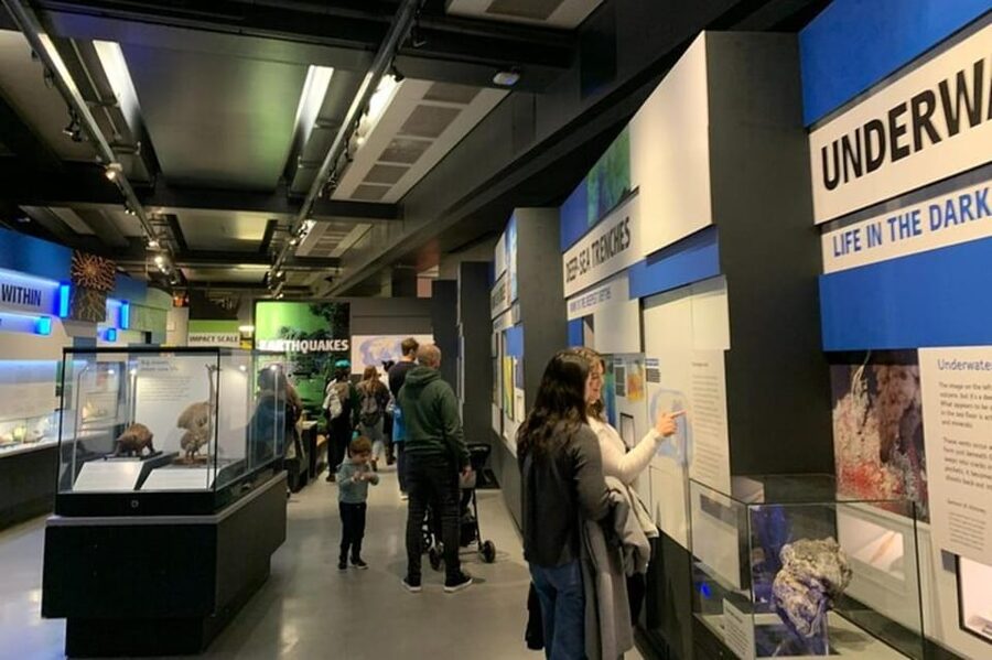 London: Natural History Museum Private Tour & Skip the line - A 1,500-year-old sequoia section