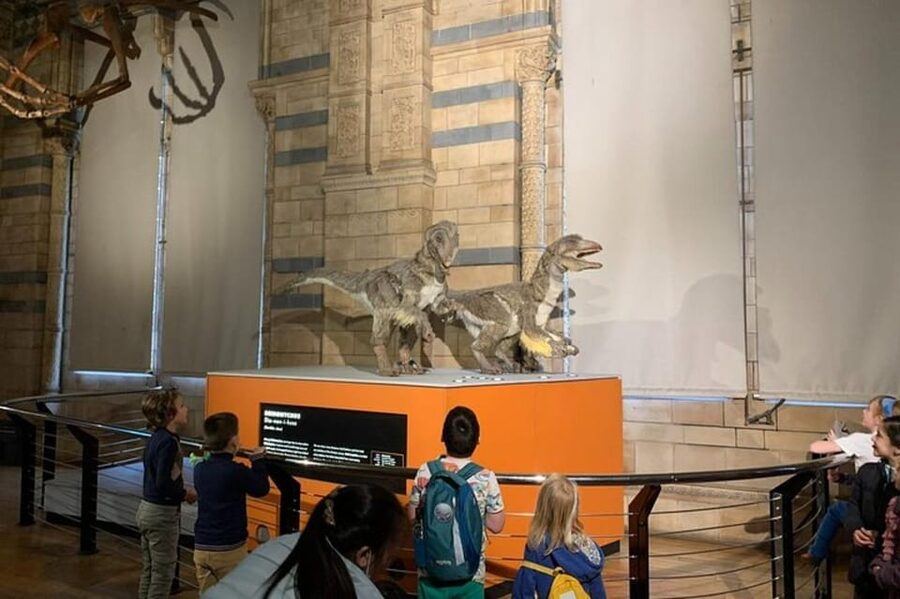 London: Natural History Museum Private Tour & Skip the line - Is $168 good value for three people?