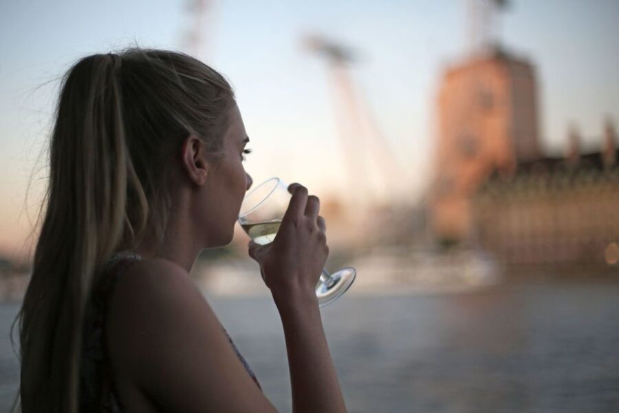 London: River Thames Evening Cruise with Bubbly and Canapés - London Eye, Parliament, and the return journey