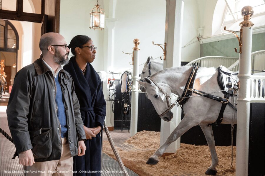 London: Royal Walking Tour with Guard Change & Royal Mews - The Mall, St. James’s Park, and the Guard ceremony