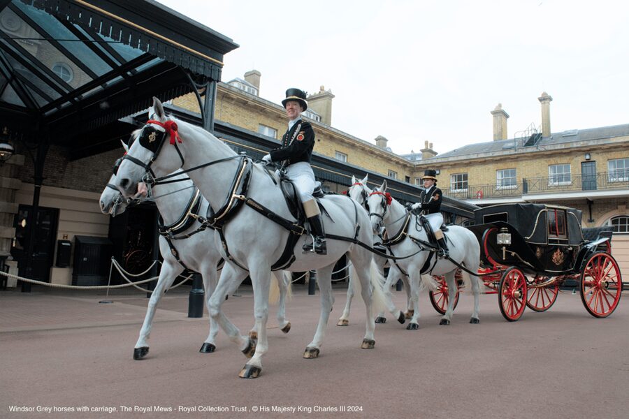 London: Royal Walking Tour with Guard Change & Royal Mews - The guides make or break the walking portion