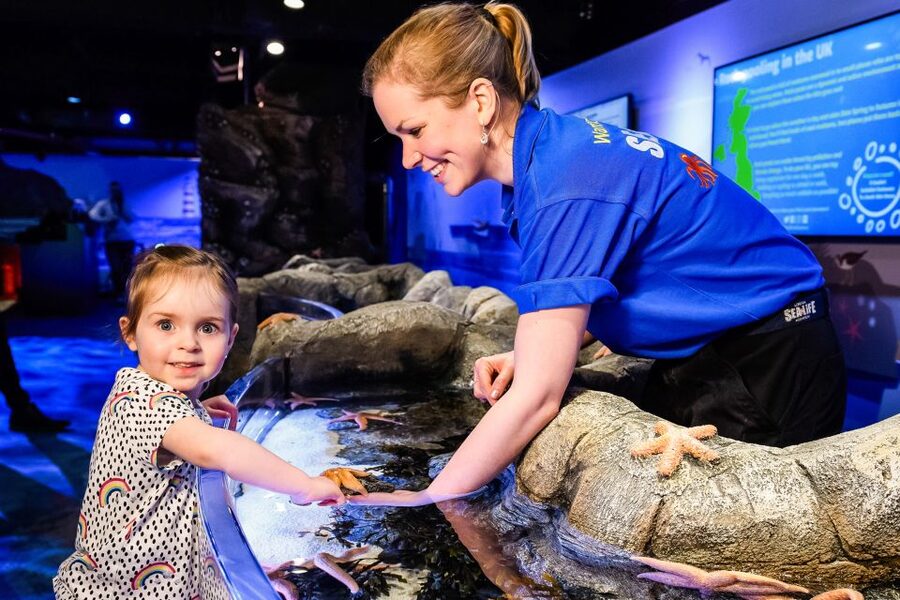 London: SEA LIFE Entry Ticket - Ice Adventure and the Gentoo penguins
