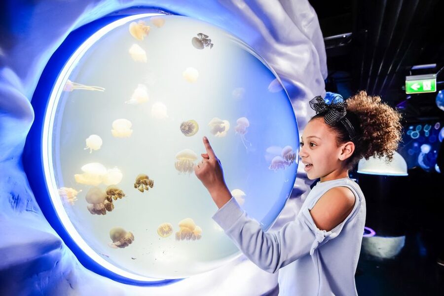 London: SEA LIFE Entry Ticket - Sharks, turtles, and the glass platform