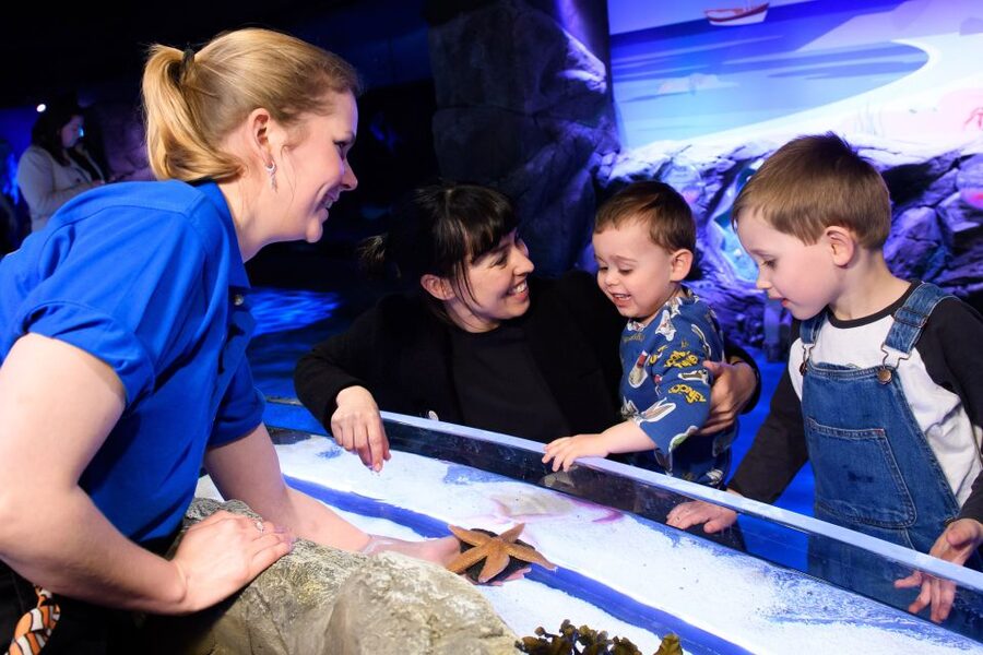 London: SEA LIFE & London Eye Combo Ticket - Is $66 good value?