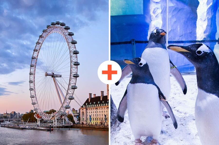 London: SEA LIFE & London Eye Combo Ticket - Two Southbank icons in one day