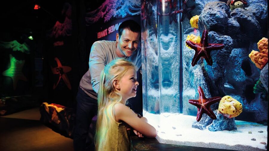 London: SEA LIFE & London Eye Combo Ticket - Expect crowds inside the aquarium