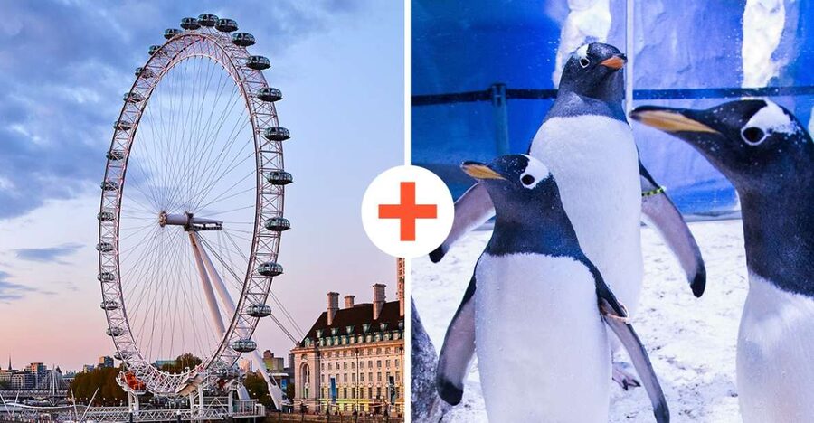 London: SEA LIFE & London Eye Combo Ticket - Booking the two attractions without confusion
