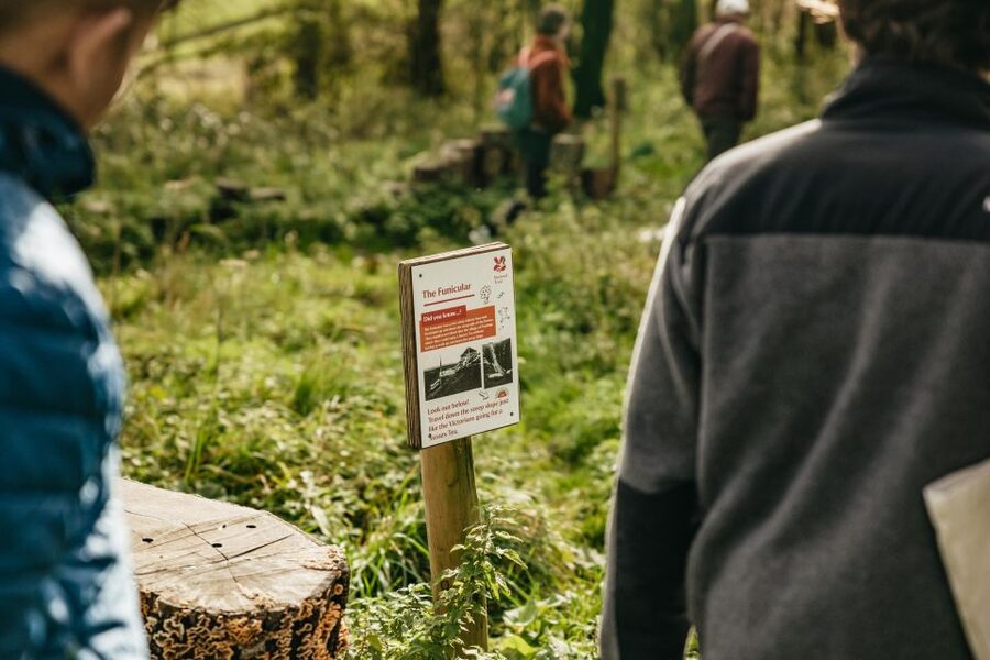 London: South Downs White Cliffs Day Trip with Train Tickets - Key points to know before booking