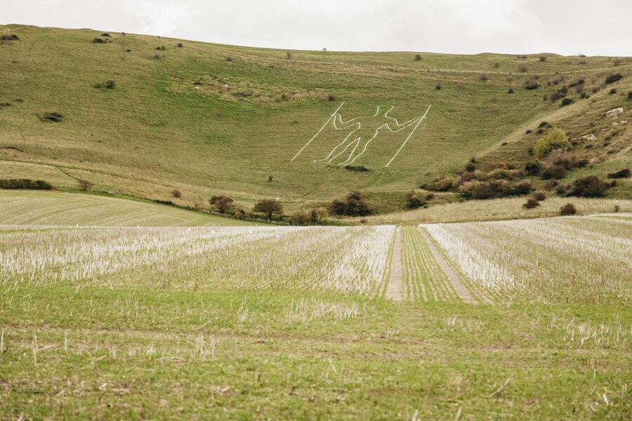 London: South Downs White Cliffs Day Trip with Train Tickets - Middle Farm turns lunch into part of the visit
