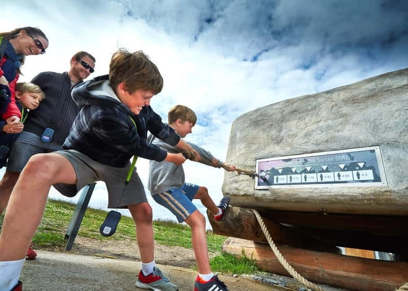 London: Stonehenge Morning or Afternoon Tour Optional Lunch - Why Stonehenge Works as a Half-Day Trip