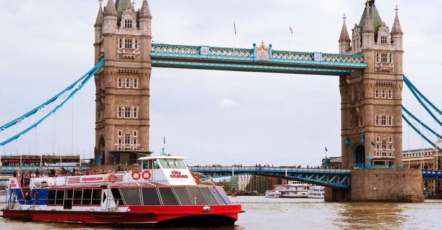 London: Thames River Cruise and 3-Hour Westminster Tour - Practical advice for a smoother day