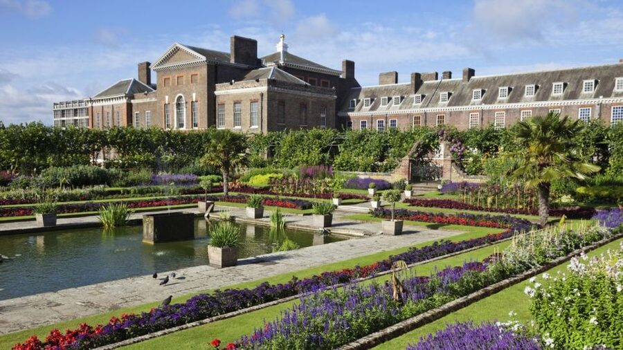 London: Westminster Walking Tour and Kensington Palace Visit - What the guide adds to the experience