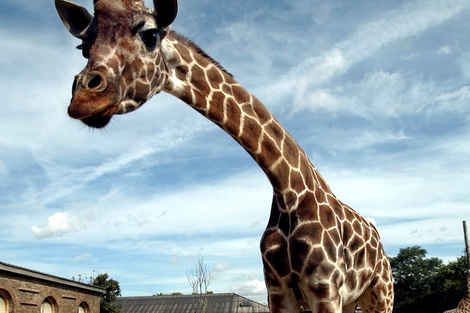 London Zoo: Entry Ticket - Why London Zoo works as a full-day outing