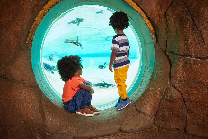 London Zoo: Entry Ticket - Giants of the Galápagos