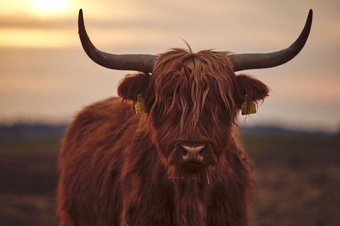 Luxury Private Tour of The Highlands & Loch Ness from Edinburgh - Through the Trossachs toward Glencoe