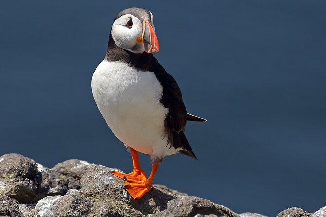 North East Coastal Trail Small Group Day Tour from Aberdeen - Cullen gives you an hour and a famous soup
