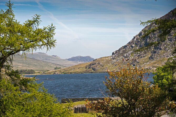 North Wales and Caernarfon Castle day-tour from Liverpool - Who should book this tour?
