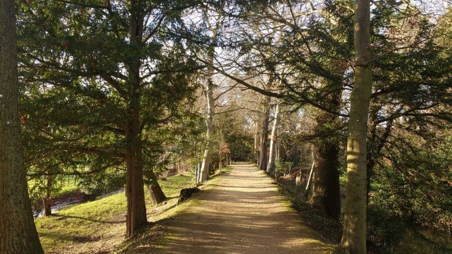 Oxford: C.S. Lewis & J.R.R. Tolkien Guided Walking Tour - What this Oxford tour is really about