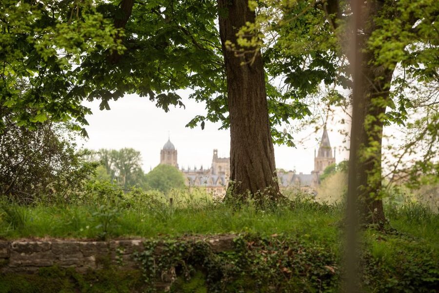 Oxford: Evening Sightseeing River Cruise with a Cocktail - University College Boat Houses and river design