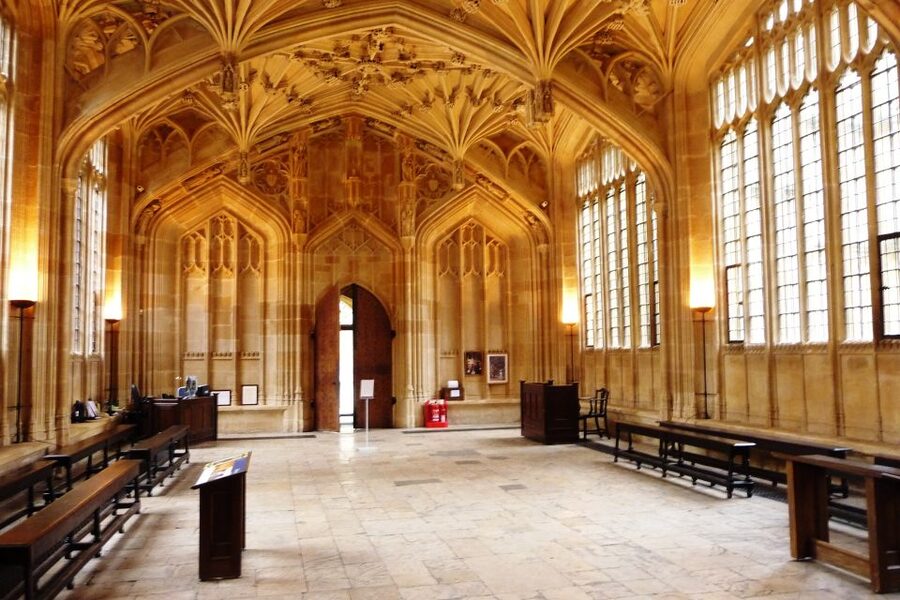 Oxford: Harry Potter Insights Divinity School Group Tour - What the guides add
