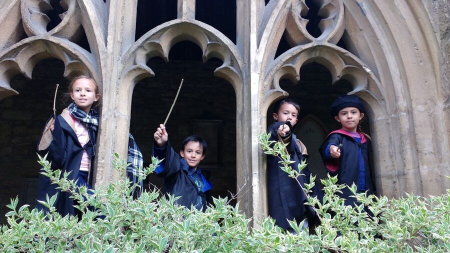 Oxford: Harry Potter Insights Divinity School Group Tour - What is not included