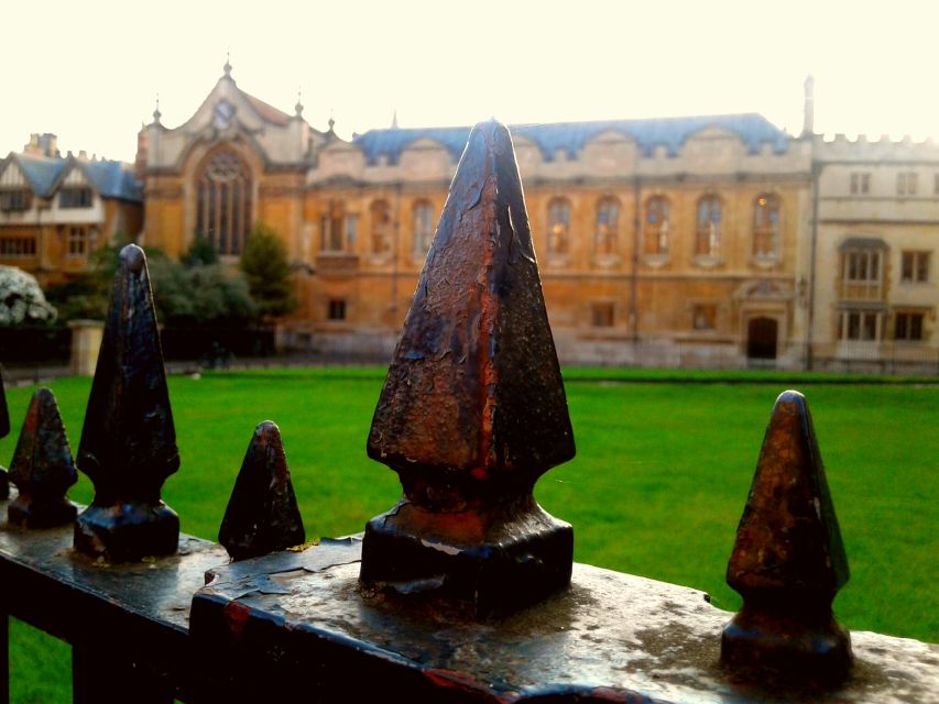 Oxford: Harry Potter Insights Divinity School Group Tour - The Divinity School, Hogwarts’s most convincing interior