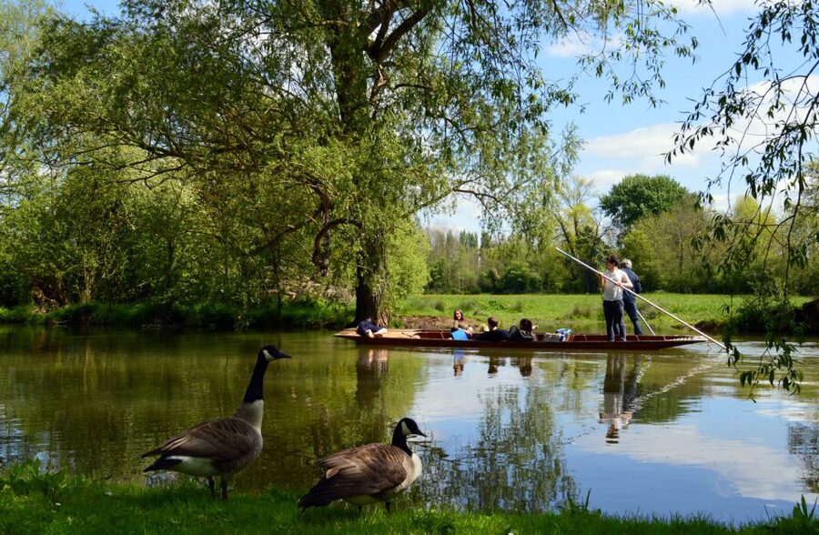 Oxford: Official University and City Walking Tour - Christ Church Meadows and the pastoral edge of Oxford
