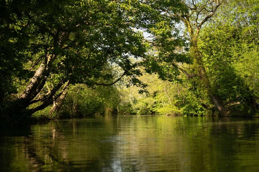 Oxford: Punting Tour on the River Cherwell - Weather, comfort, and practical details