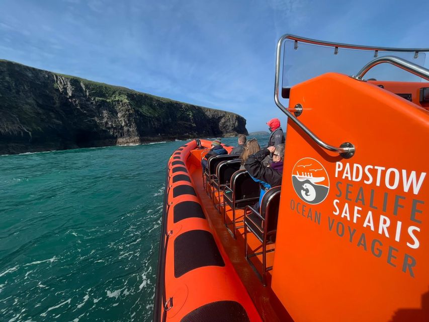 Padstow: Guided RIB Sealife Safari - Who will enjoy this Padstow safari?