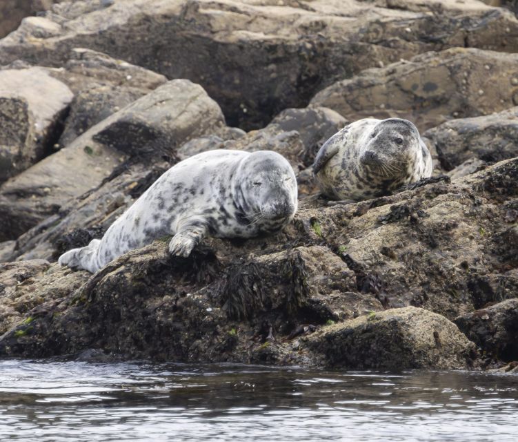 Penzance: Land's End Boat Tour with Wildlife Guides - Lands End and the Longship Lighthouse