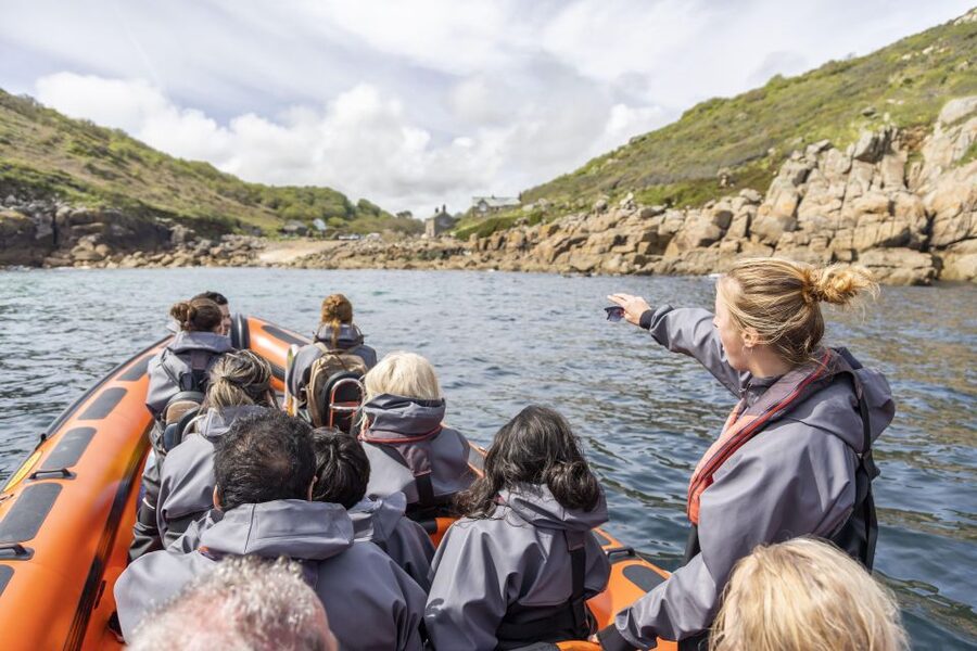 Penzance: Land's End Boat Tour with Wildlife Guides - What the guides add to the experience