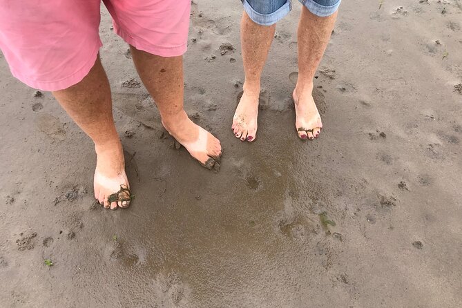 Pilgrims' Path walk across the sands to Holy Island - Key points at a glance