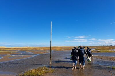 Pilgrims’ Path walk across the sands to Holy Island