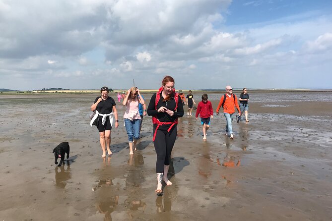 Pilgrims' Path walk across the sands to Holy Island - The return by comfortable car