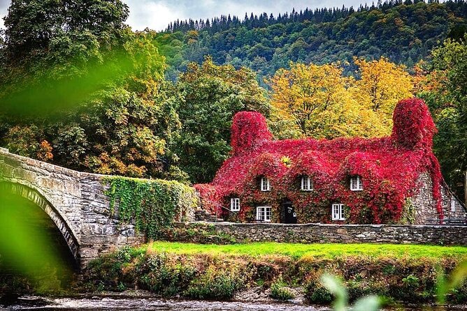 Portmeirion, Castles and Snowdonia Tour - One day, much of North Wales