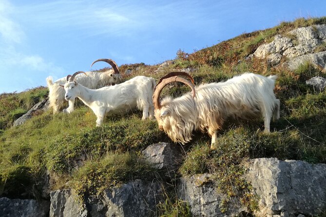 Portmeirion, Castles and Snowdonia Tour - Snowdonia and the Nant Gwynant viewpoint