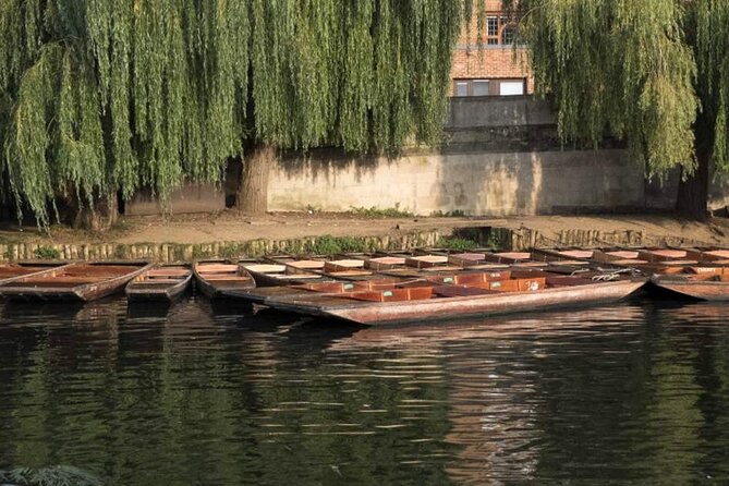 Private Cambridge Punting Tour - What a private chauffeur changes