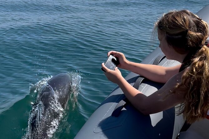 Private Coastal Boat Tour in Torquay - Berry Head, Geology, and Seal Country