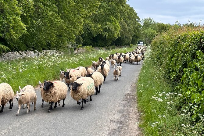 Private Day Tour from Bath to the Captivating Cotswolds - Lunch in a historic inn, with the bill kept separate