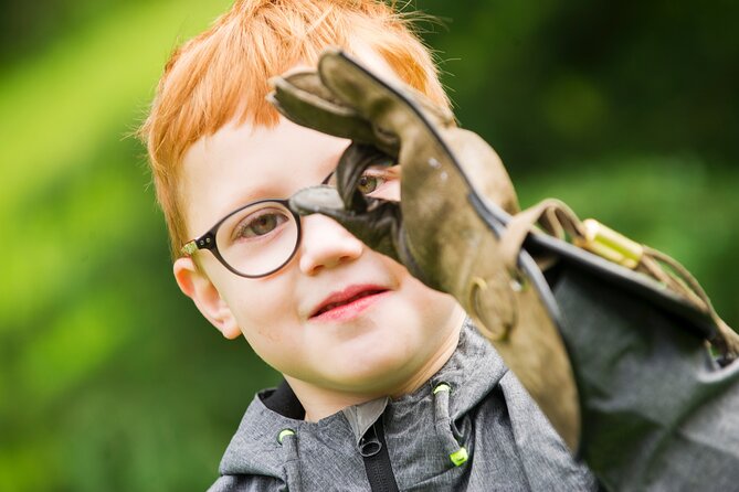Private Family Bird of Prey Experience in Carlisle - What the one-hour session feels like
