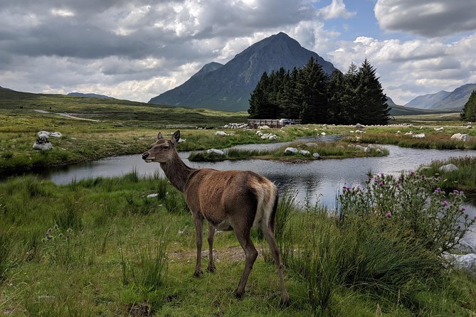 Private One Day Highlands Tour of Scotland - Lunch, breaks, and the practical side of a long day