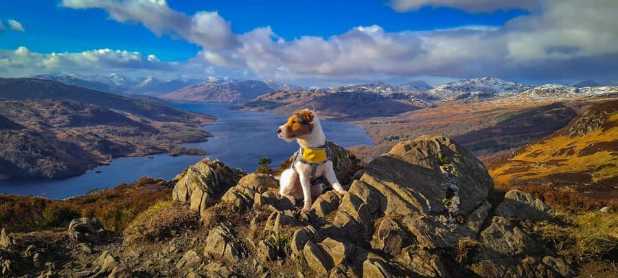 Private Tour of Highlands, Lochs & Castles from Edinburgh - Rannoch Moor and Loch Tulla
