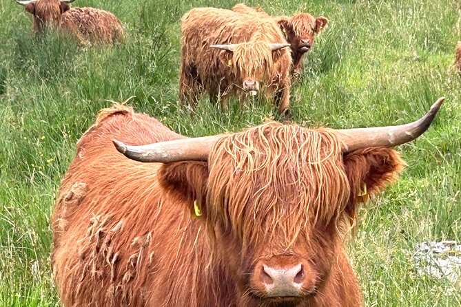 Private Tour of Loch Ness, Glencoe and Highlands from Edinburgh - Price, comfort, and the value of going private