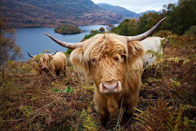 Private Tour of Loch Ness, Glencoe and Highlands from Edinburgh - Crossing the Forth and reaching Perthshire