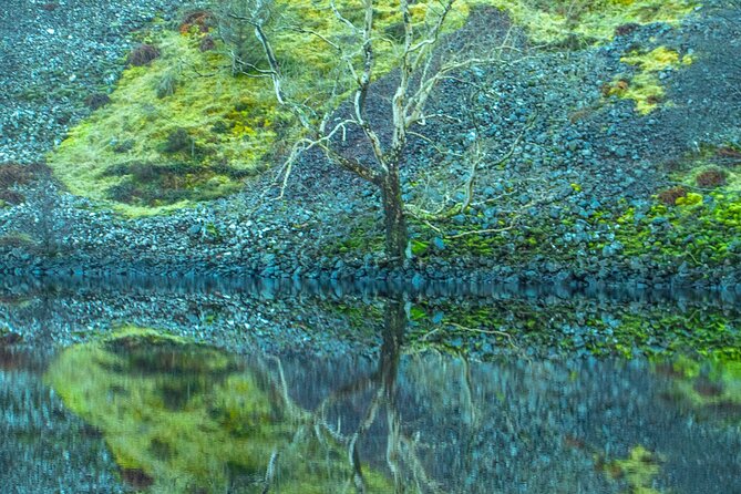 Private Tour of the Scottish Highlands from Edinburgh - Why this private Highlands route works