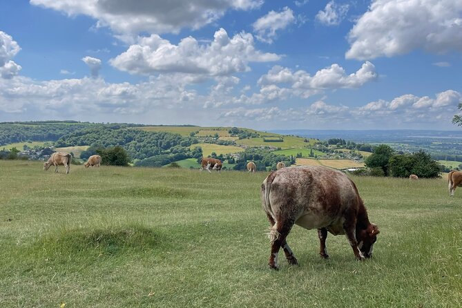 Private tour of the stunning Cotswolds with an expert local guide - Broadway and its Arts and Crafts past